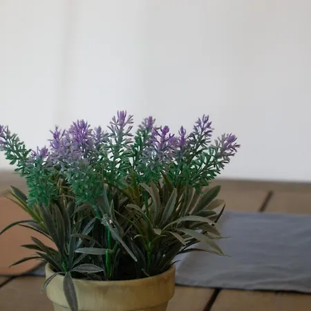 Apartma Marin Apartmán